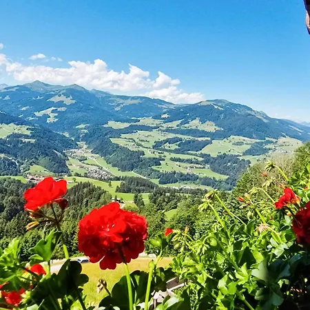 Mit Bergpanorama Hopfgarten im Brixental
