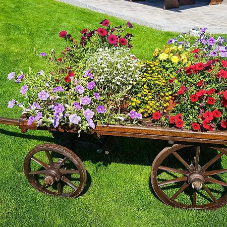 Mit Bergpanorama Daire *