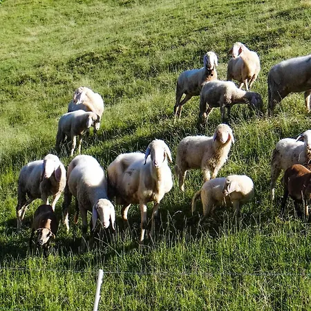 Διαμέρισμα Mit Bergpanorama *